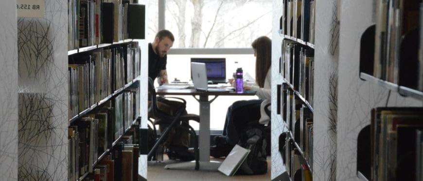 Two students studying at a table in the library